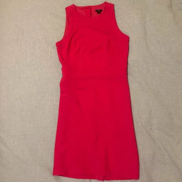 Hot Pink Ann Taylor Sheath Dress Hot Pink Ann Taylor Sheath Dress